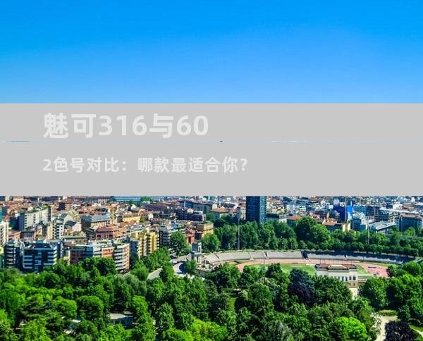 魅可316与602色号对比：哪款最适合你？