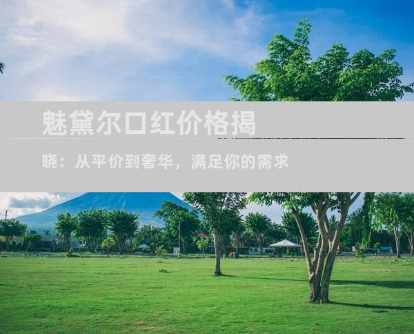 魅黛尔口红价格揭晓：从平价到奢华，满足你的需求