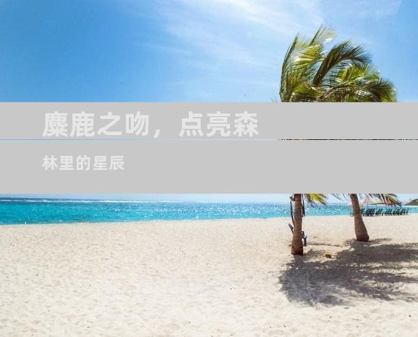 麋鹿之吻，点亮森林里的星辰