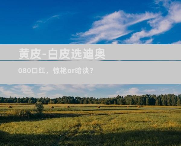 黄皮-白皮选迪奥080口红，惊艳or暗淡？