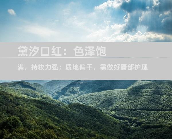 黛汐口红：色泽饱满，持妆力强；质地偏干，需做好唇部护理